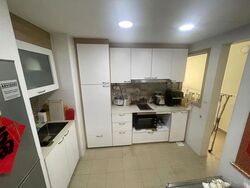 The Springbloom (D19), Condominium #638138131